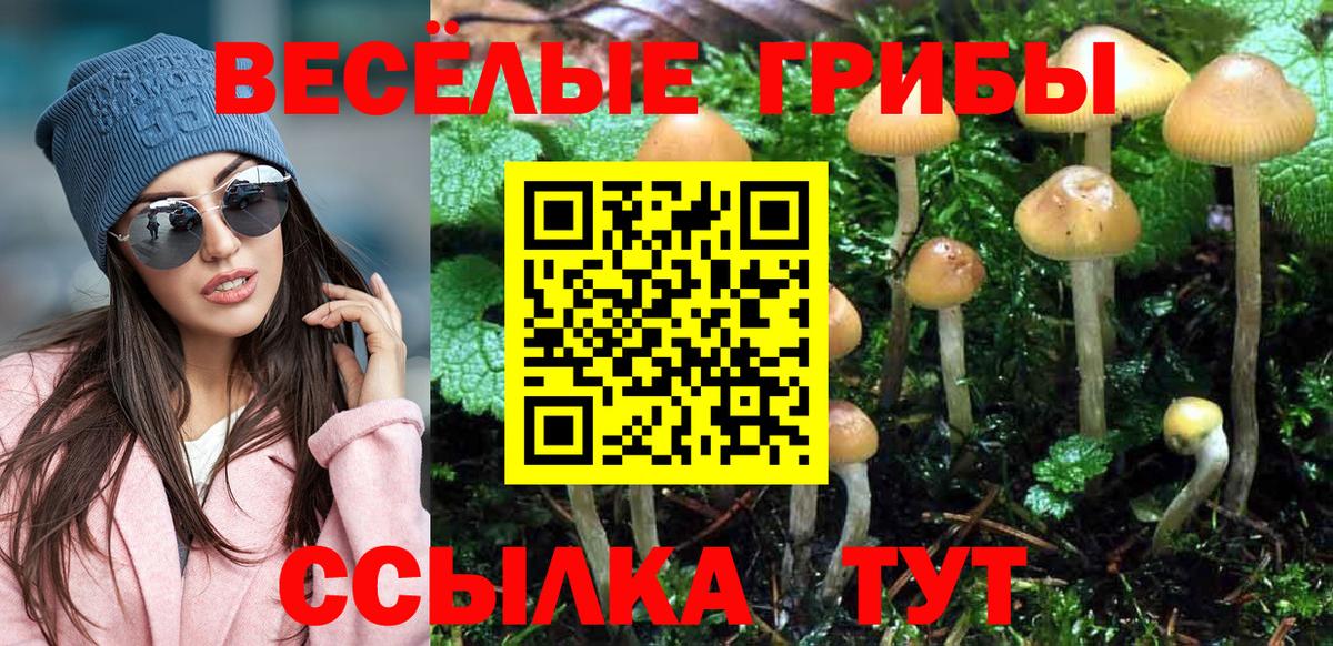 Псилоцибиновые грибы мицелий  Вход с VPN  Туапсе 