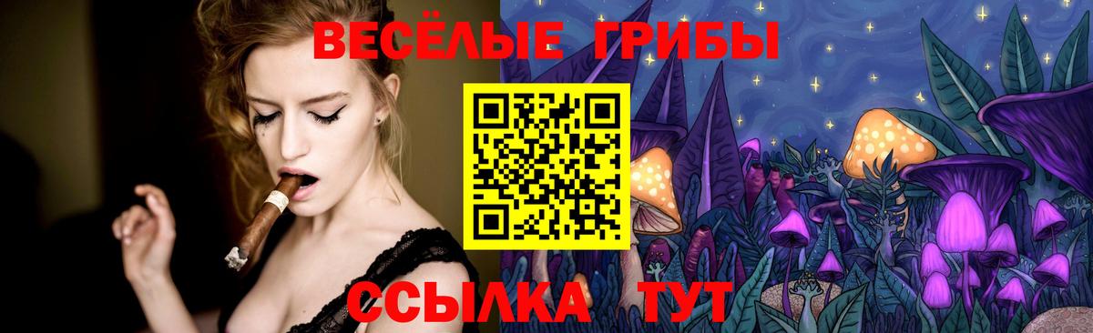 Галлюциногенные грибы MAGIC MUSHROOMS Туапсе